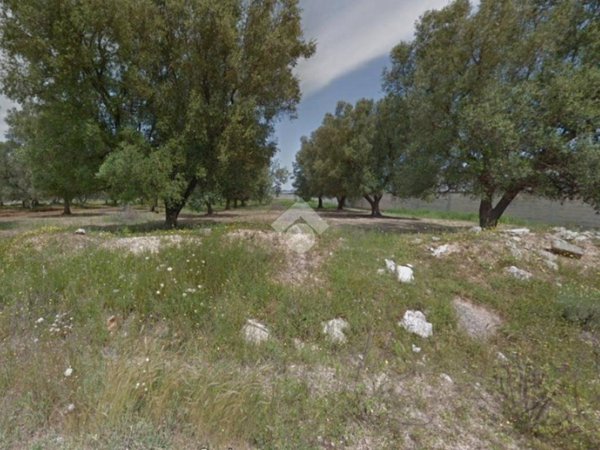 terreno agricolo in vendita a Francavilla Fontana