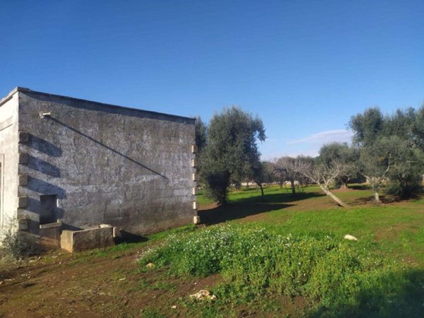 terreno agricolo in vendita a Francavilla Fontana