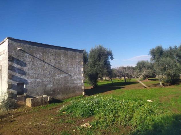 terreno agricolo in vendita a Francavilla Fontana