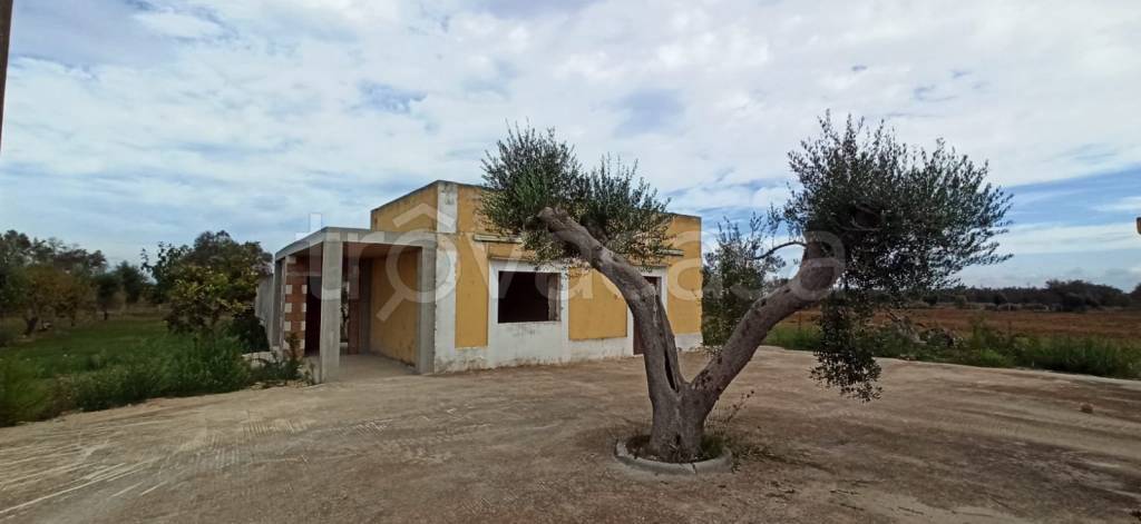 casa indipendente in vendita a Francavilla Fontana