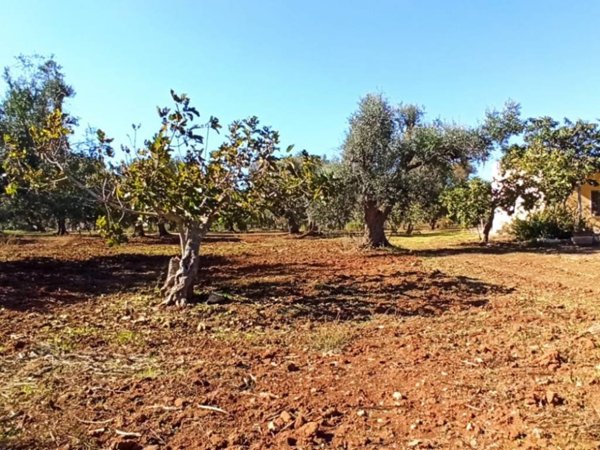 terreno agricolo in vendita a Francavilla Fontana