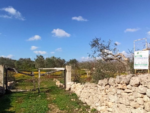 terreno agricolo in vendita a Francavilla Fontana