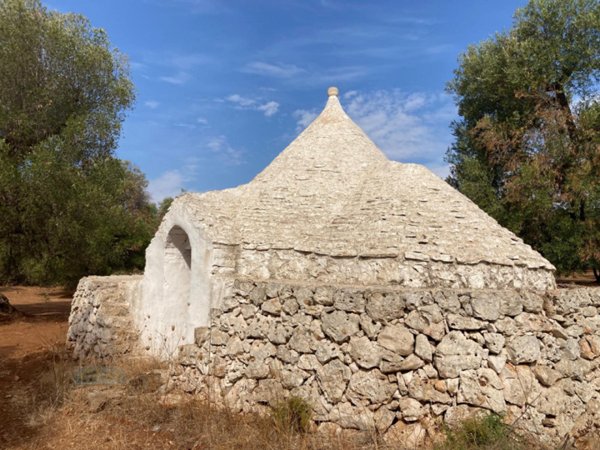 terreno agricolo in vendita a Francavilla Fontana