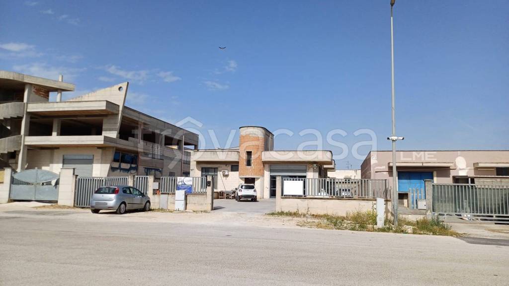 immagine annuncio 0 di 11