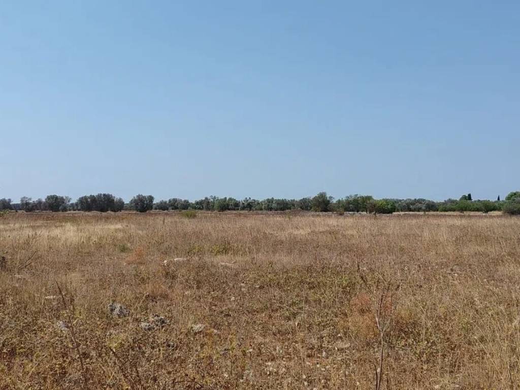 terreno agricolo in vendita a Francavilla Fontana