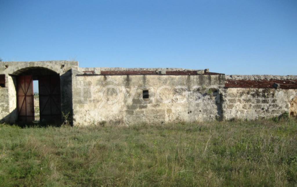 terreno agricolo in vendita a Francavilla Fontana