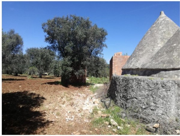 casa indipendente in vendita a Francavilla Fontana