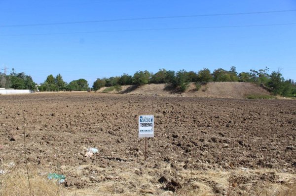 terreno agricolo in vendita a Francavilla Fontana