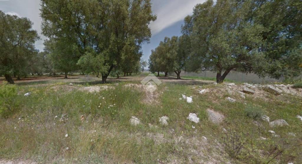 terreno agricolo in vendita a Francavilla Fontana