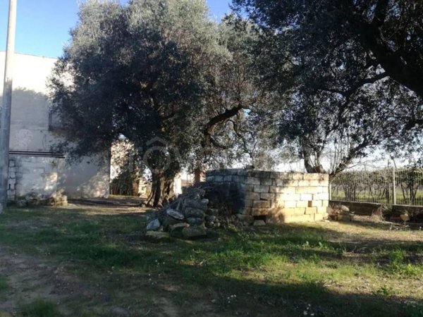 casa indipendente in vendita a Francavilla Fontana