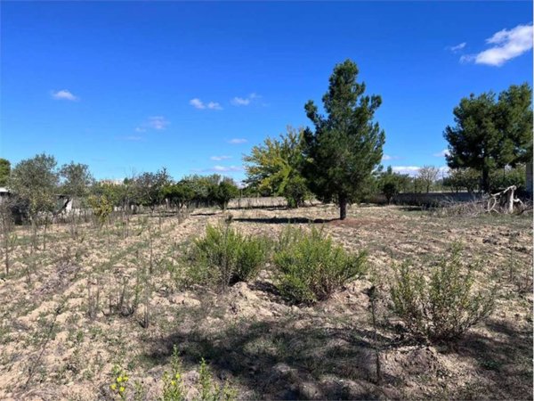 terreno agricolo in vendita a Francavilla Fontana