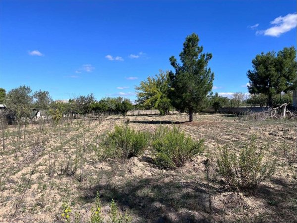 terreno agricolo in vendita a Francavilla Fontana