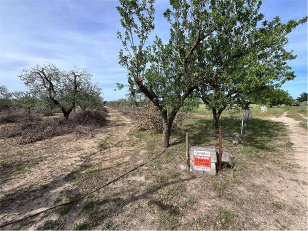 terreno agricolo in vendita a Francavilla Fontana