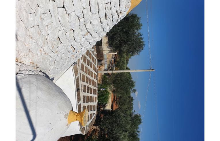 casa indipendente in vendita a Francavilla Fontana