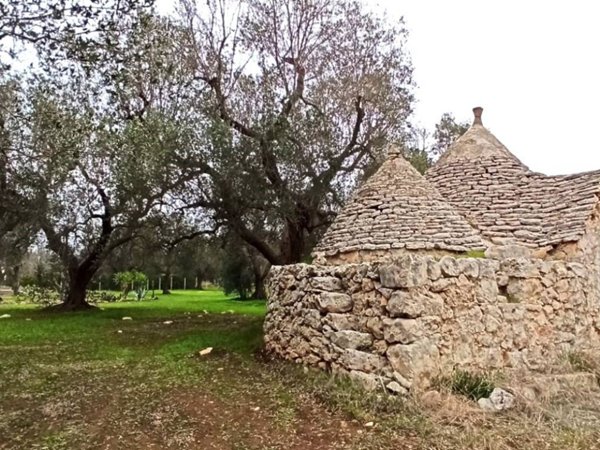 casa indipendente in vendita a Francavilla Fontana