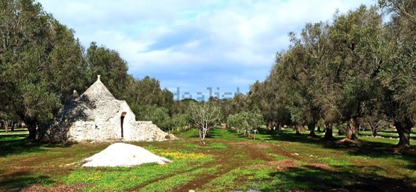 appartamento in vendita a Francavilla Fontana