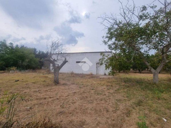 casa indipendente in vendita a Francavilla Fontana