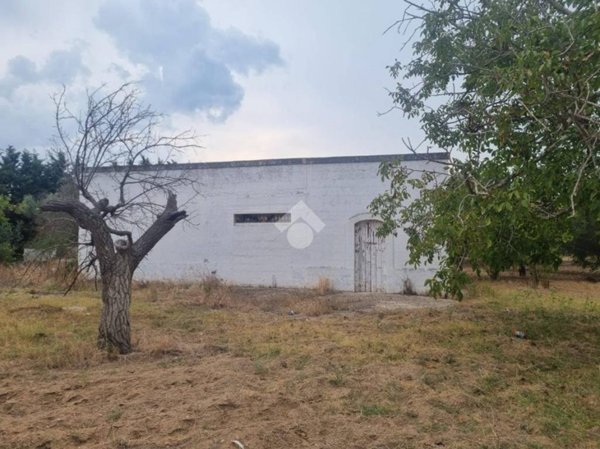 casa indipendente in vendita a Francavilla Fontana