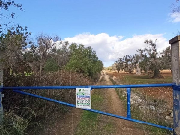 terreno agricolo in vendita a Francavilla Fontana