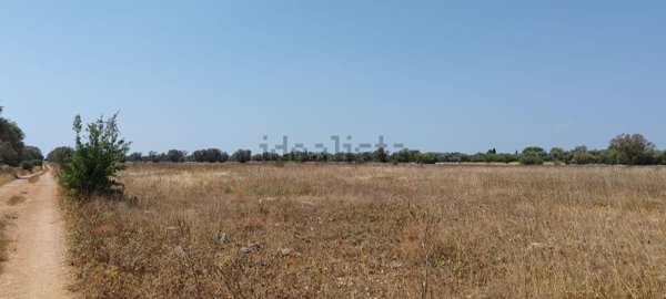 terreno agricolo in vendita a Francavilla Fontana