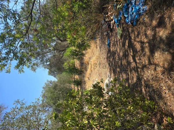 casa indipendente in vendita a Francavilla Fontana