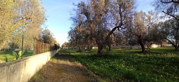 casa indipendente in vendita a Francavilla Fontana