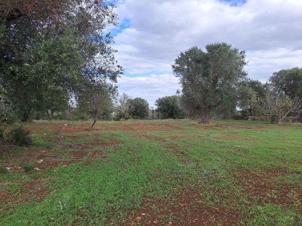 casa indipendente in vendita a Francavilla Fontana
