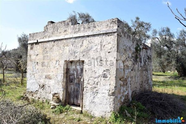terreno agricolo in vendita a Francavilla Fontana
