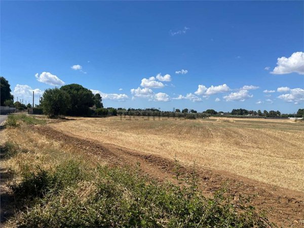 terreno agricolo in vendita a Francavilla Fontana
