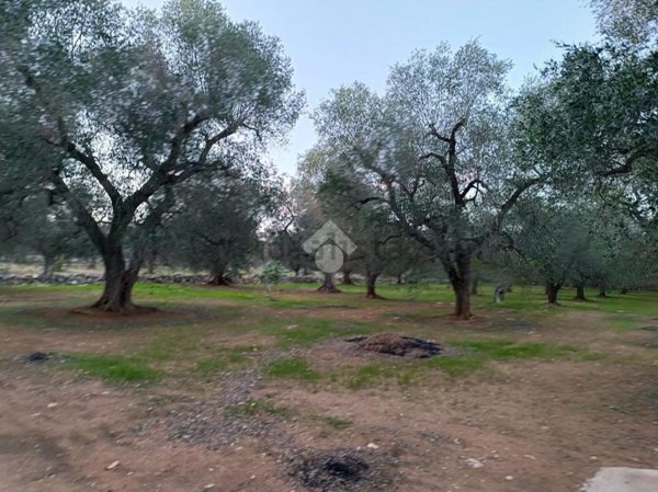 appartamento in vendita a Francavilla Fontana