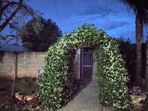 casa indipendente in vendita a Francavilla Fontana