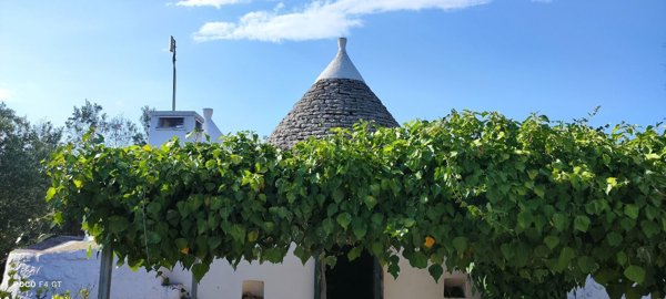 appartamento in vendita a Francavilla Fontana