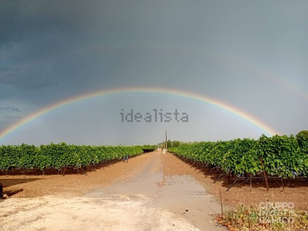 terreno agricolo in vendita a Francavilla Fontana