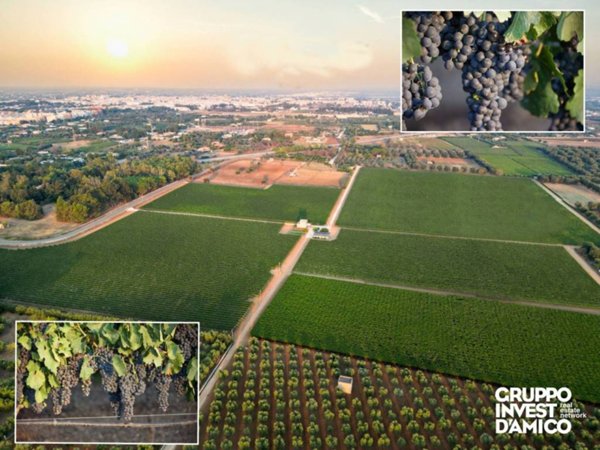 terreno agricolo in vendita a Francavilla Fontana