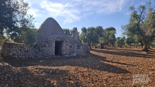 appartamento in vendita a Francavilla Fontana