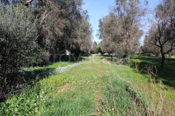 casa indipendente in vendita a Francavilla Fontana