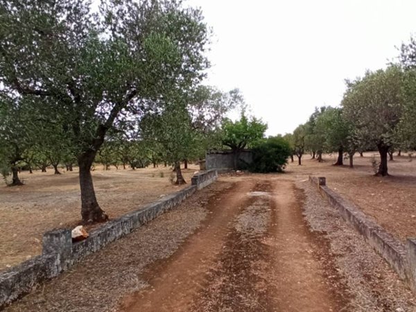 terreno agricolo in vendita a Francavilla Fontana