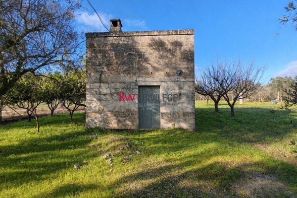 casa indipendente in vendita a Francavilla Fontana