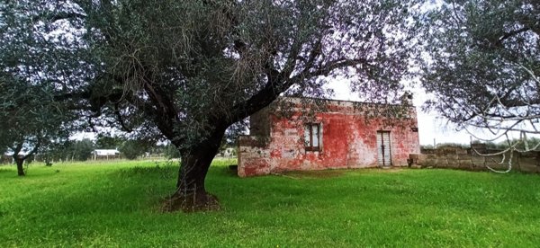 casa indipendente in vendita a Francavilla Fontana