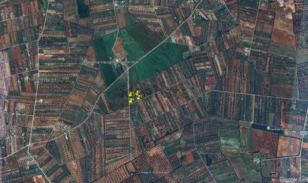 terreno agricolo in vendita a Francavilla Fontana