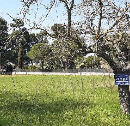 terreno agricolo in vendita a Francavilla Fontana