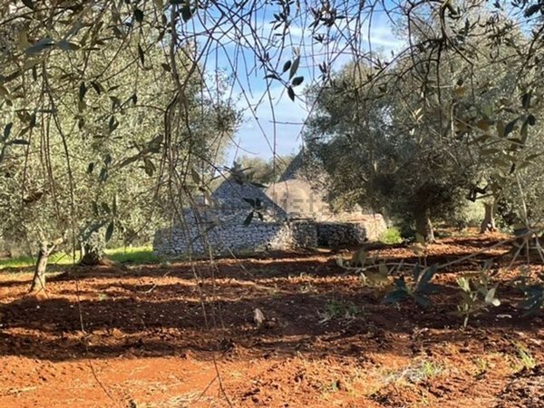 quadrivano in vendita a Francavilla Fontana