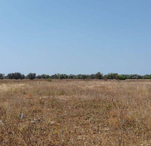 terreno agricolo in vendita a Francavilla Fontana