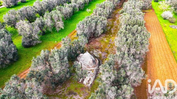 appartamento in vendita a Francavilla Fontana