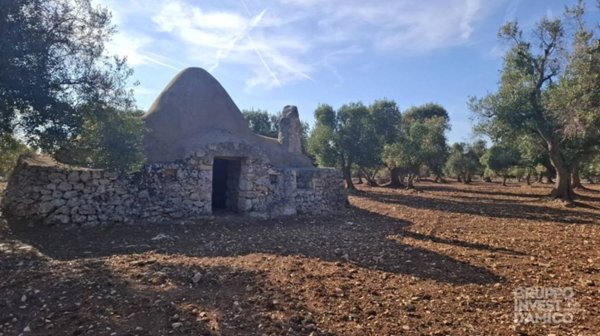 casa indipendente in vendita a Francavilla Fontana