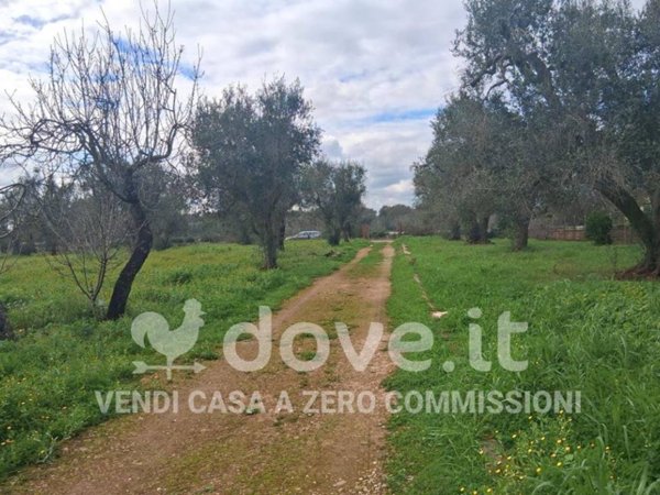 casa indipendente in vendita a Francavilla Fontana