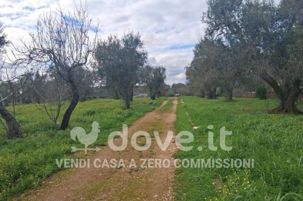 casa indipendente in vendita a Francavilla Fontana