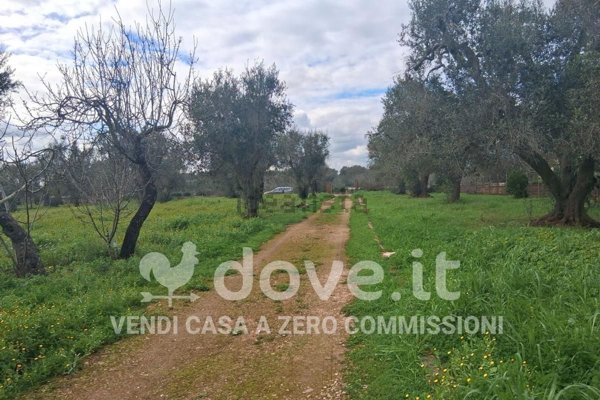 appartamento in vendita a Francavilla Fontana