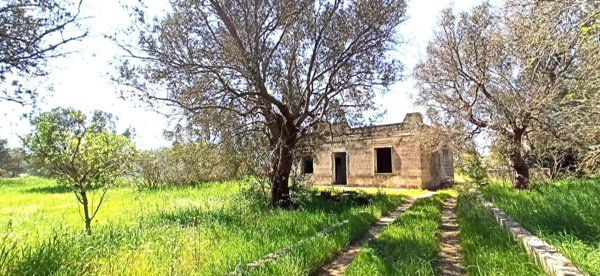 casa indipendente in vendita a Francavilla Fontana