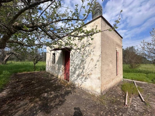 casa indipendente in vendita a Francavilla Fontana